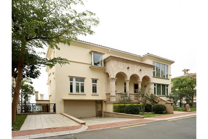 经典案例  商业地产  项目简介: 别墅的整体装饰风格采用"简欧"的设计